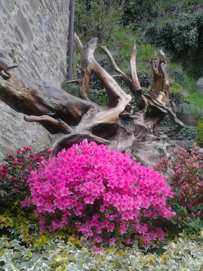 Villa O Paxar Samos Exterior foto